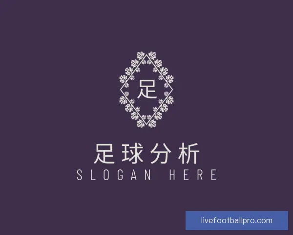 介绍足球分析